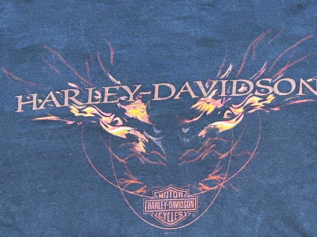 ★HARLEY DAVIDSONハーレーダビッドソンＵＳＡ製アメリカ製ヴィンテージ海賊パイレーツＴシャツ黒ブラックＬ★古着屋オクトパスホールド★