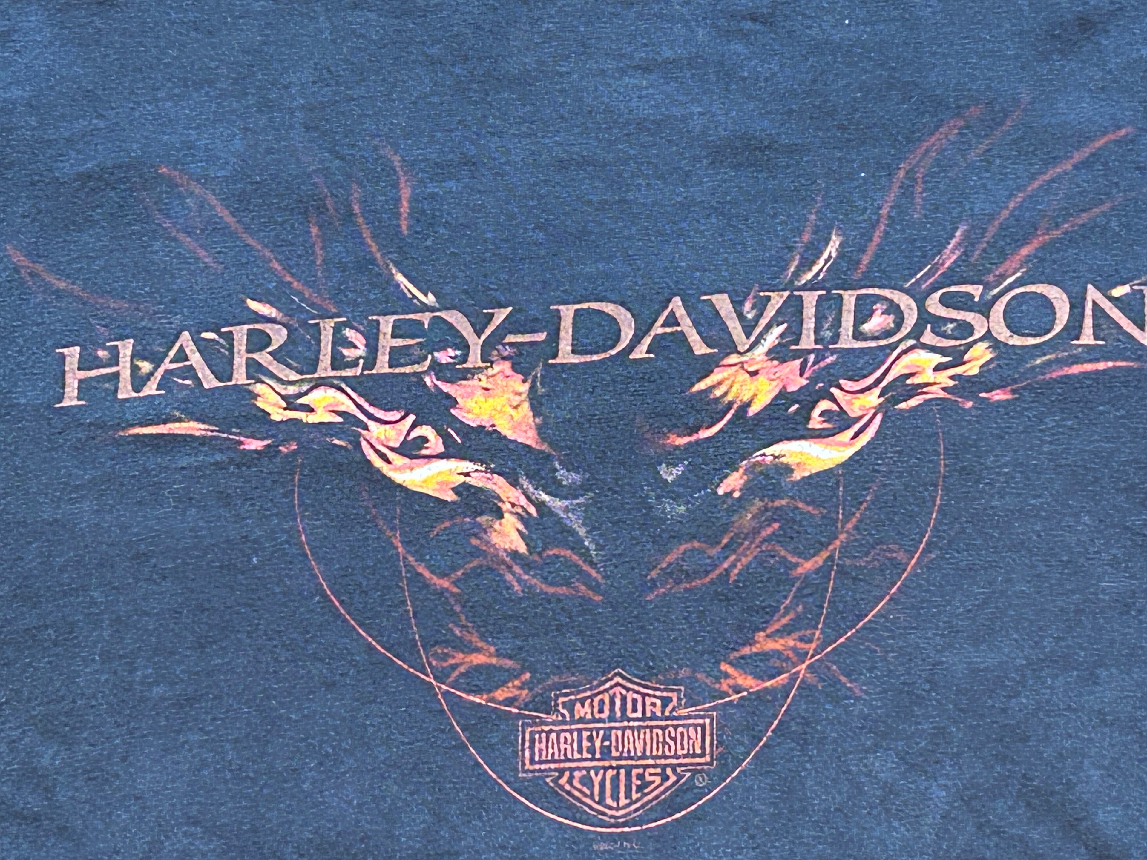 ★HARLEY DAVIDSONハーレーダビッドソンＵＳＡ製アメリカ製ヴィンテージ海賊パイレーツＴシャツ黒ブラックＬ★古着屋オクトパスホールド★