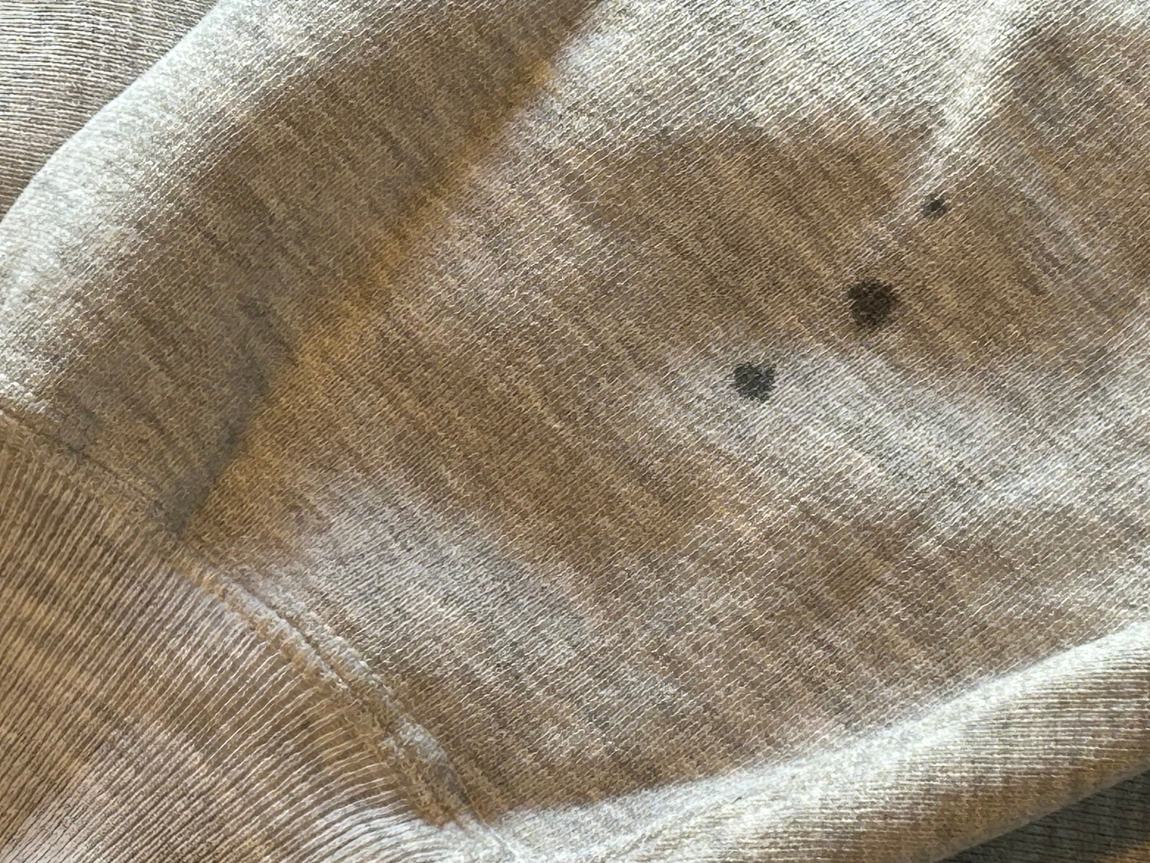 ★CHAMPIONチャンピオンビッグＣコーネルカレッジリバースウィーブＸＬ★ランタグ単色トリコ刺繍70s80s90s501XX506XX★オクトパスホールド★