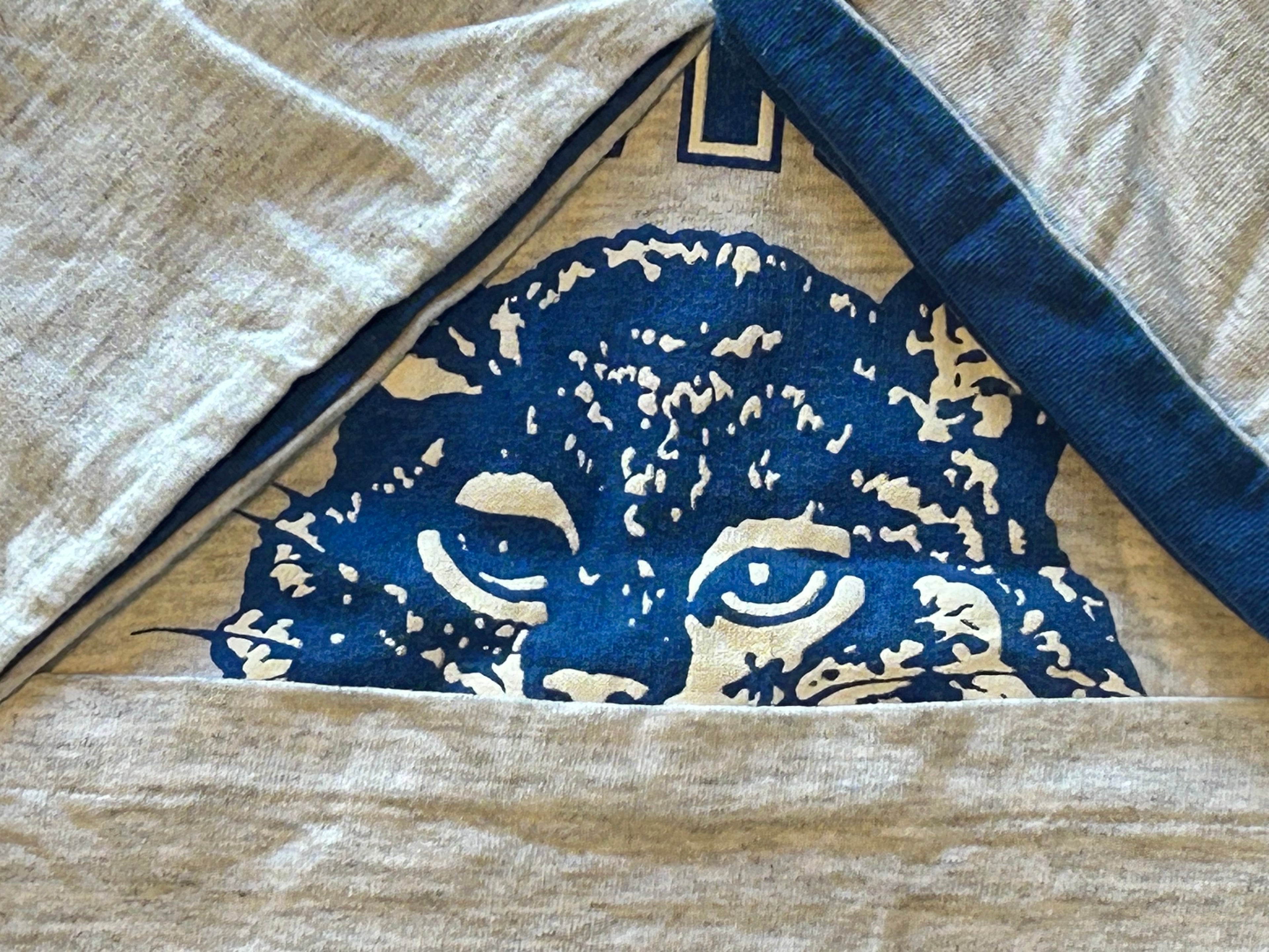 ★ラムゼイボブキャッツＵＳＡ製ヴィンテージカレッジキャラプリントＴシャツＬ★カレッジミリタリーアメカジ★古着屋オクトパスホールド★